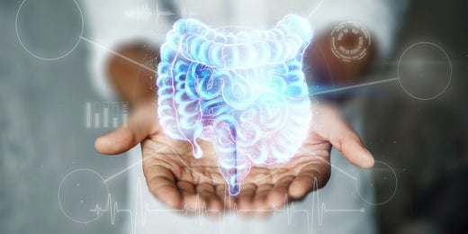 Probiotic benefits go way beyond your gut